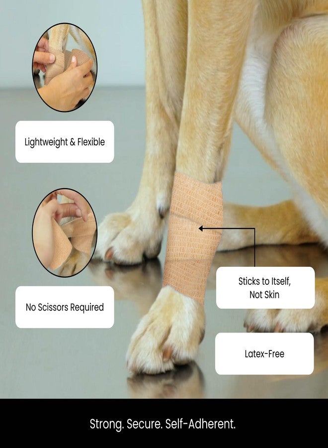 يوفال ضمادة لاصقة ذاتية اللصق من جوفال - شريط بيطري للخيول والكلاب - ضمادة مرنة لتخفيف الالتواءات والإجهاد - شاش ملون قابل للتهوية وسهل التقطيع باليد - 4 بوصات × 5 ياردات، عبوة من 12 قطعة - Image 3